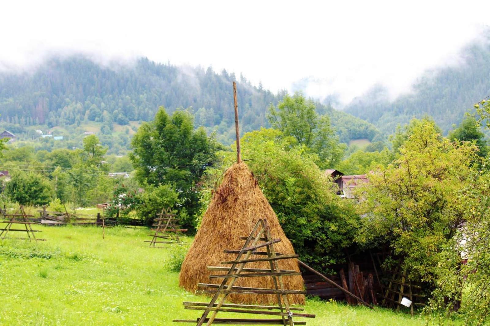Садиба Кичера Petrashi Extérieur photo
