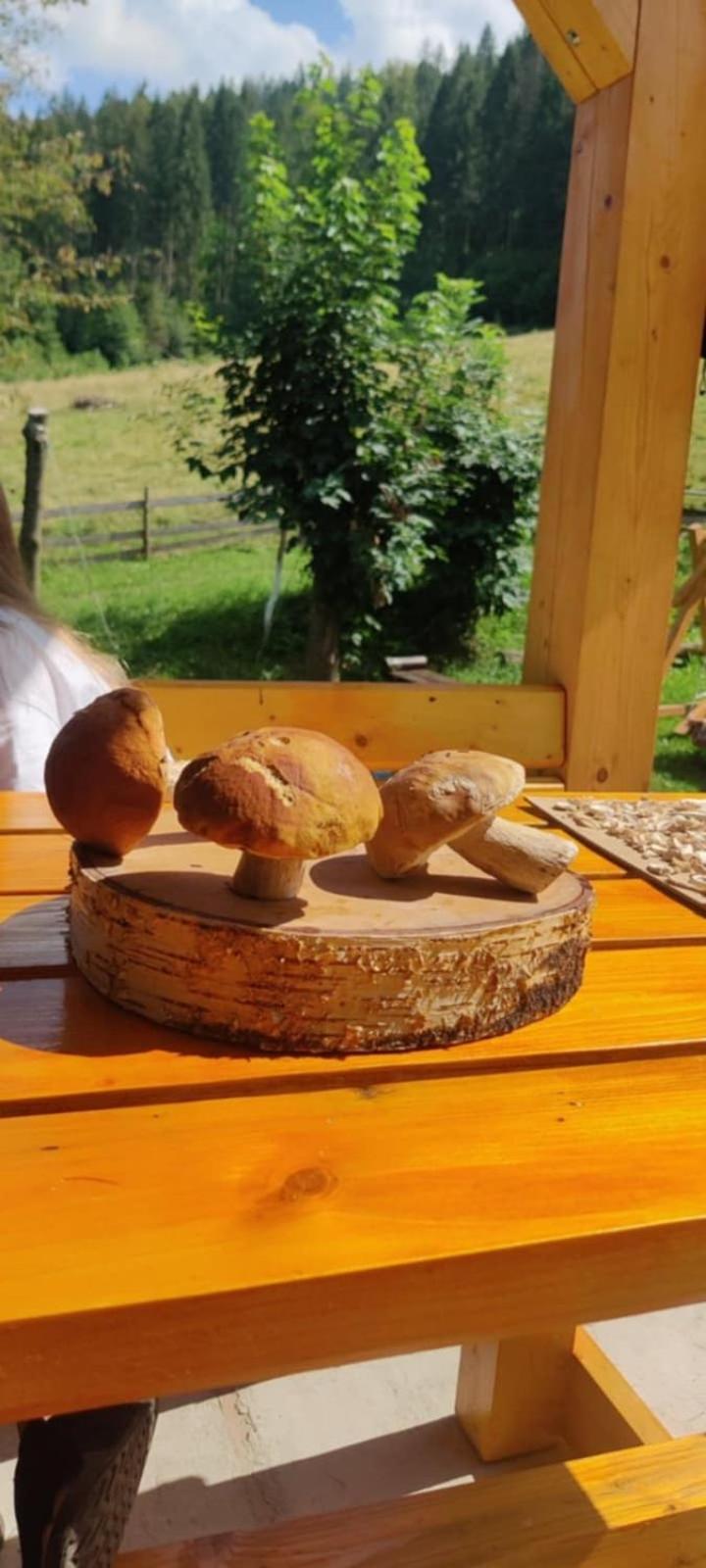 Садиба Кичера Petrashi Extérieur photo